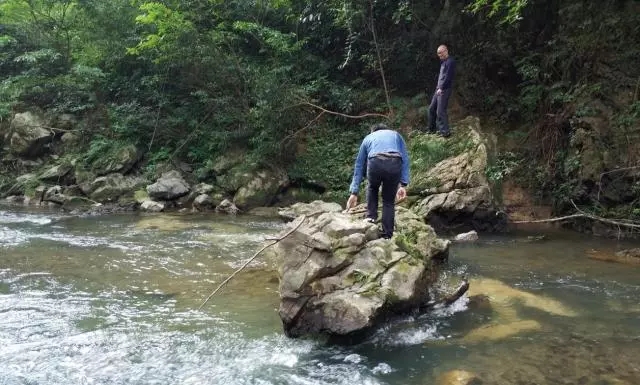 5a375f2f23ea4.jpg 下載.webp.jpg