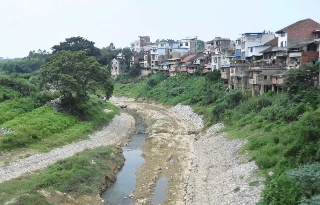 5b7f81566c23e.jpg 2.jpg