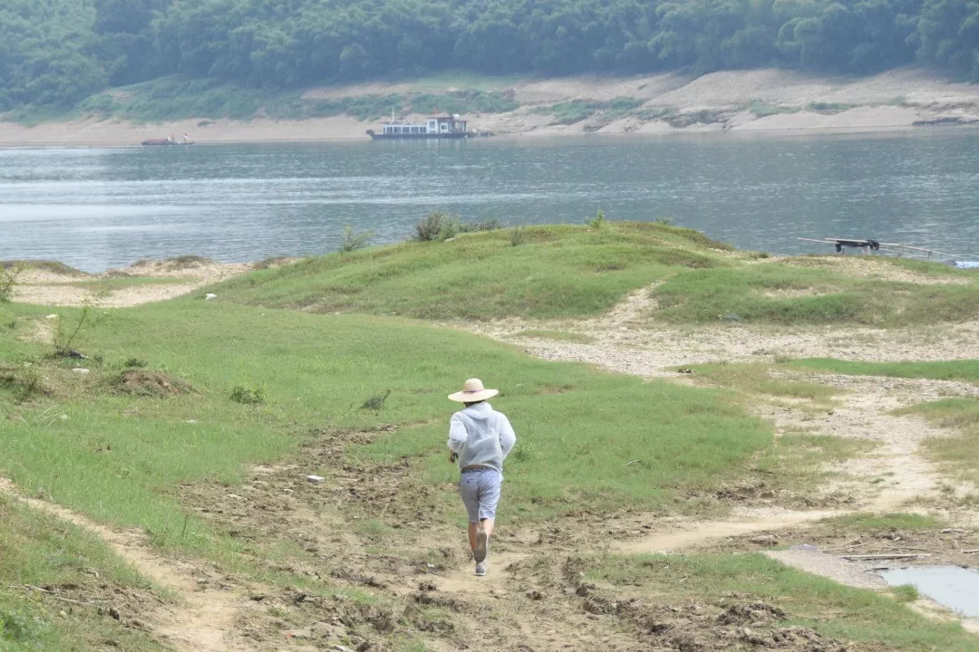 5b7f8171b3e89.jpg 5.jpg