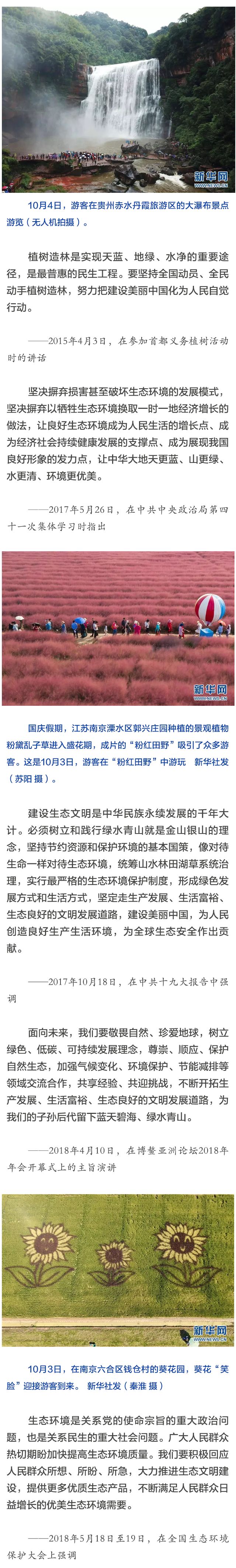 5bc3f93a1cfbb.jpg 2.jpg