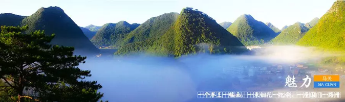 5c6b763f35644.png 2.png