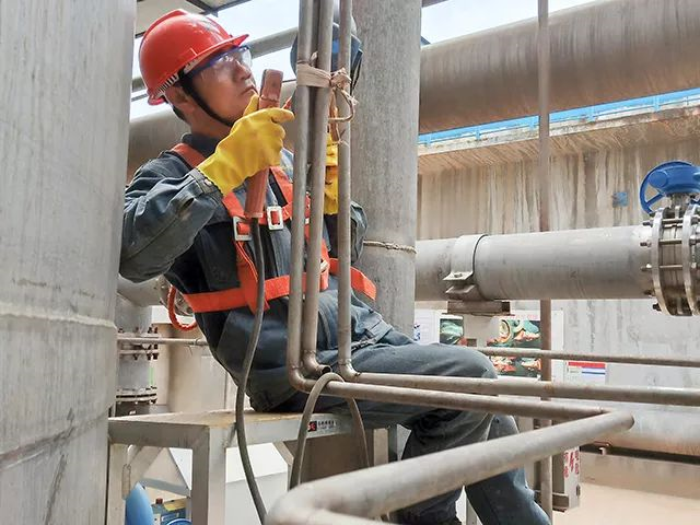 5d3e49753d18d.png 2-11.png