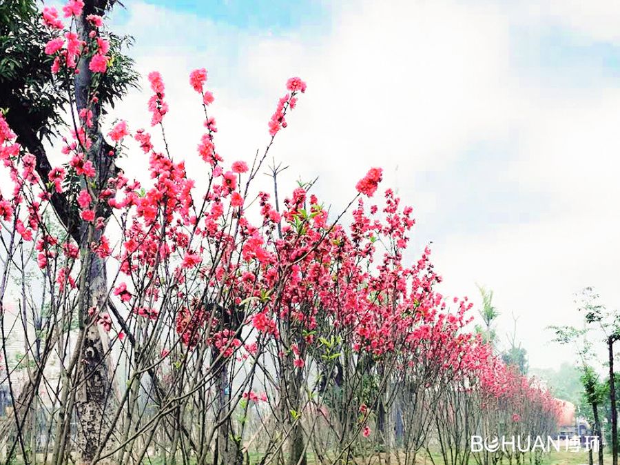 5e7ff892f392d.jpg 微信圖片_20200329173110.jpg