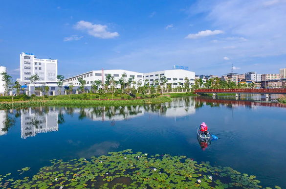 5f1dce55367a7.png 2.png