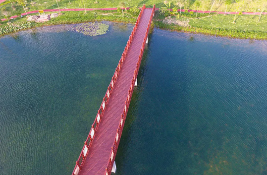 5f1dcf024575e.png 33.png