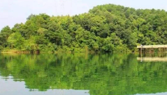 60a70815f4180.png 3.png